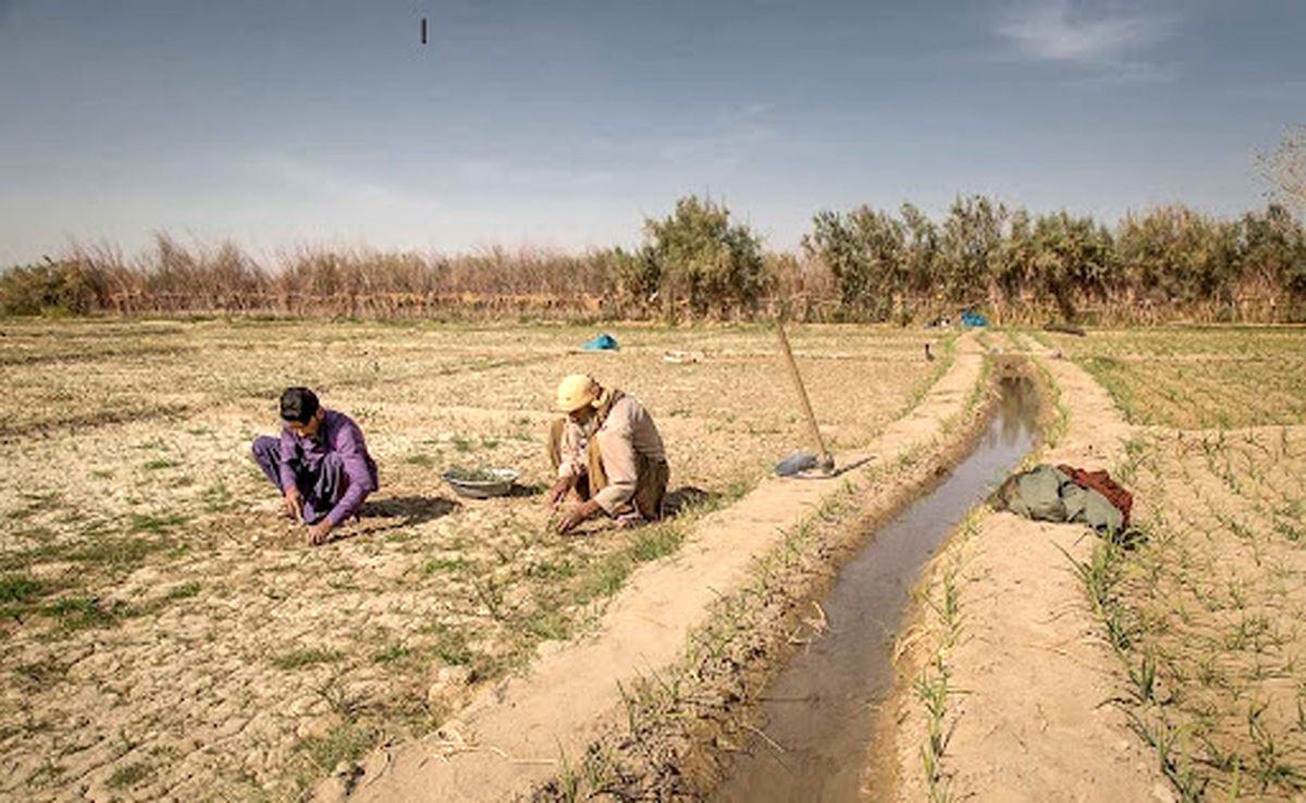 ماجرای زمین‌های کشاورزی پشت دیوار مرزی چیست؟/ طالبان نمی‌تواند ادعایی داشته باشد