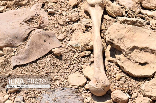 کشف گور دسته‌جمعی پر از استخوان‌ و لباس‌ 
