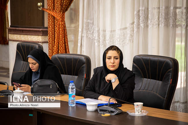 همایش حقوق رسانه و صیانت از مقام خبرنگار در قانون