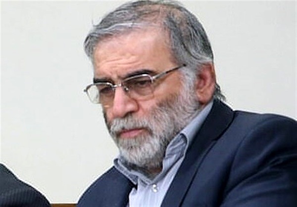 IAEA should fulfill responsibility to condemn terrorist attack against Fakhrizadeh