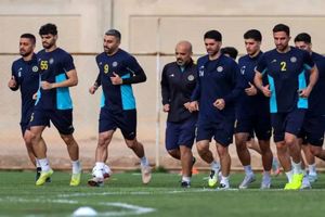 فولاد و سپاهان فروخته می‌شوند؟