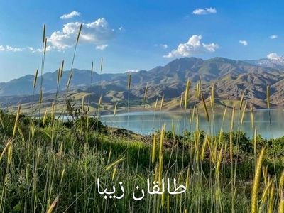 طالقان کجاست؟ نگاهی عمیق‌تر به طبیعت، فرهنگ و جاذبه‌های دیدنی طالقان