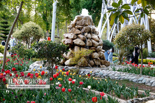 یازدهمین جشنواره لاله های کرج