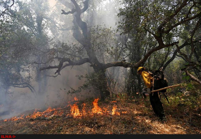  آتش سوزی در کالیفرنیا