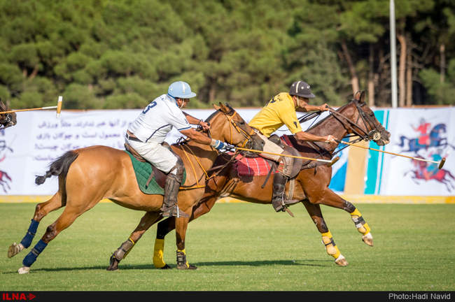 رقابتهای سه گانه چوگان هفته دولت ۱۳۹۵-کانون چوگان/قصرفیروزه