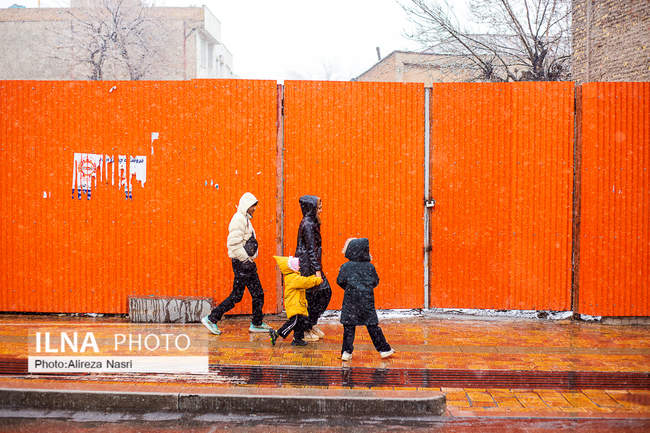 قزوین در آغوش برف به روایت تصویر