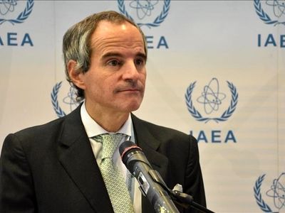 IAEA chief mulling over visit to Iran