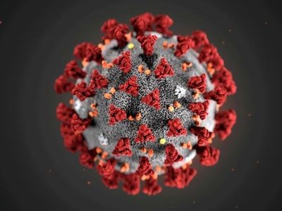 Coronavirus stopped exporting Iran's oil; official