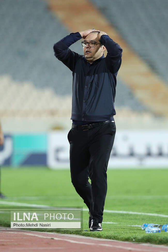  محمد ربیعی