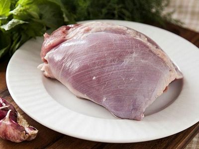 تولید بیش از 6 هزار تن گوشت بوقلمون در قزوین