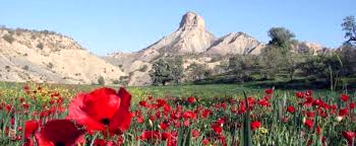 ۳ دفتر خدمات مسافرتی و گردشگری در ایلام افتتاح شد