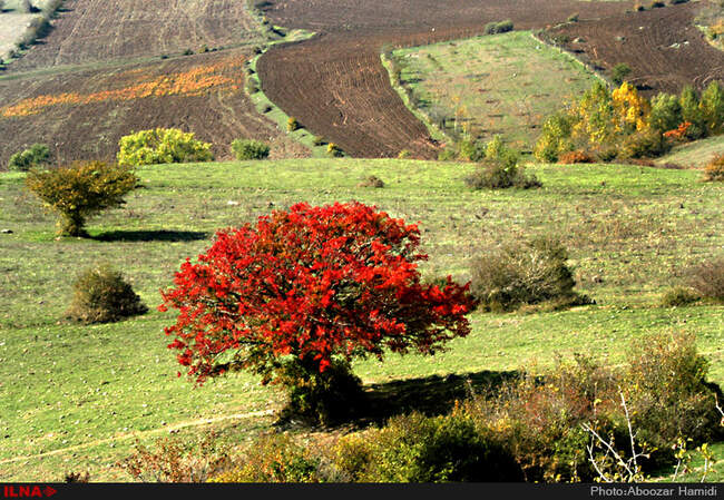 بازی رنگها در رودبار گیلان