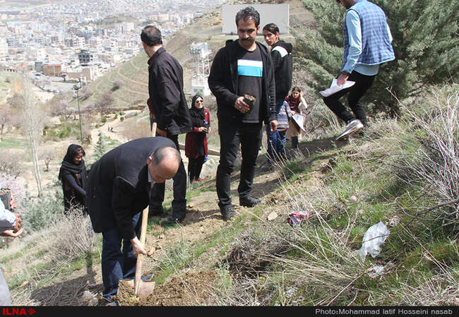 نهال کاری در دامنه کوه آبیدر سنندج 