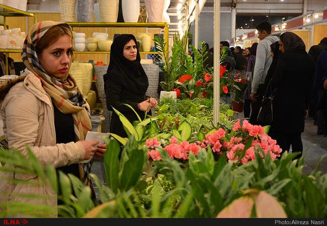 نمایشگاه گل و گیاه در استان قزوین