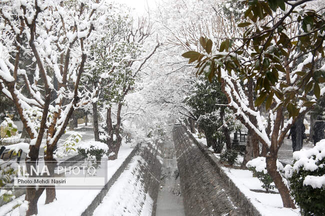 بارش برف در تهران
