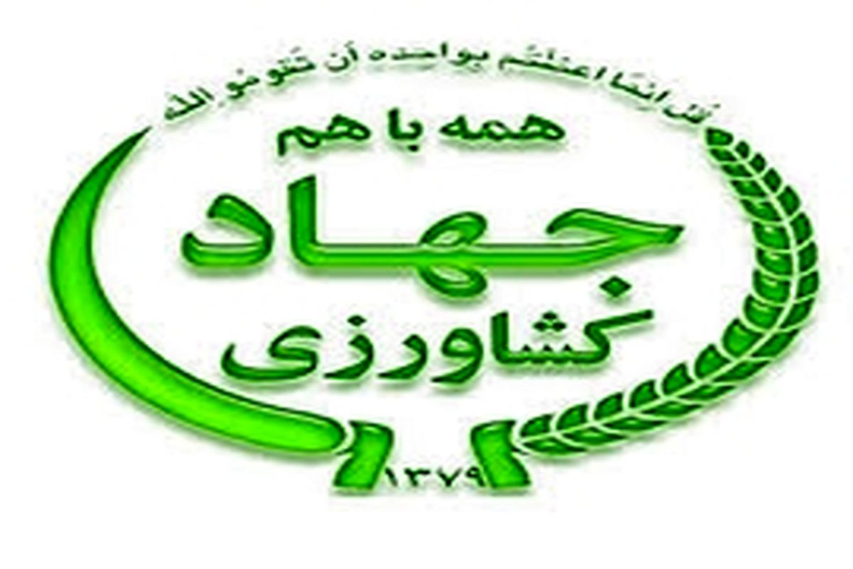 تحقق حدود ۷۰ درصد تولید از اراضی زراعی استان اصفهان علی رغم وجود کم آبی