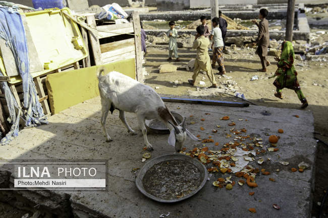 روستای پزم تیاب سیستان و بلوچستان بعد از سیل