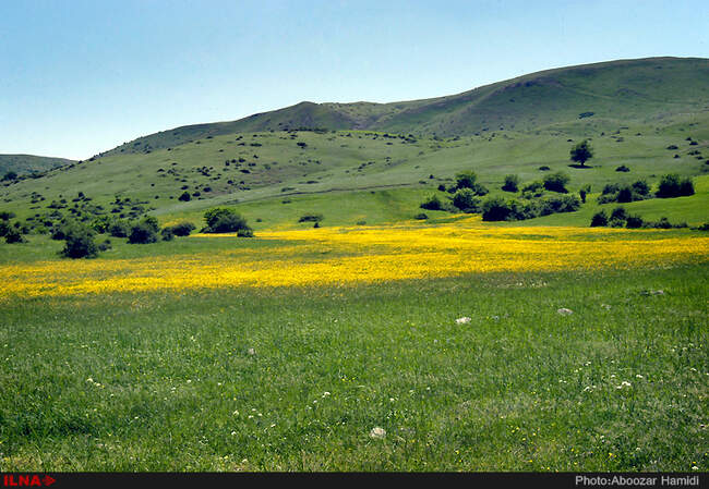 طبیعت بهاری دیلمان استان گیلان