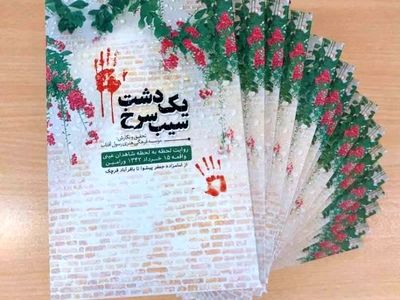 کتاب «یک دشت سیب سرخ» رونمایی شد