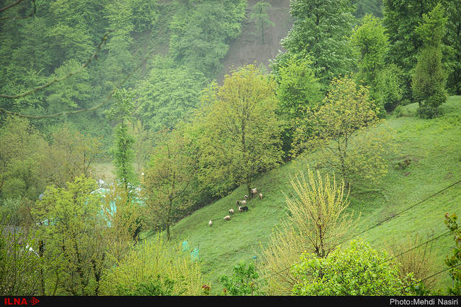 روستای دیورش
