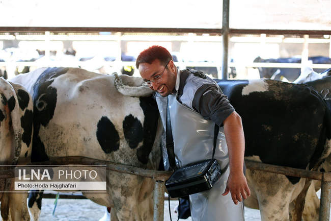 تولید در مسیر پیشرفت مناطق محروم
