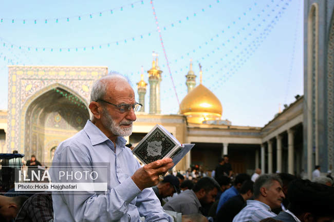 قرائت دعای «عرفه» - حرم حضرت معصومه(س)