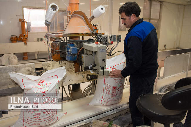 تولید شکر از چغندر قند 