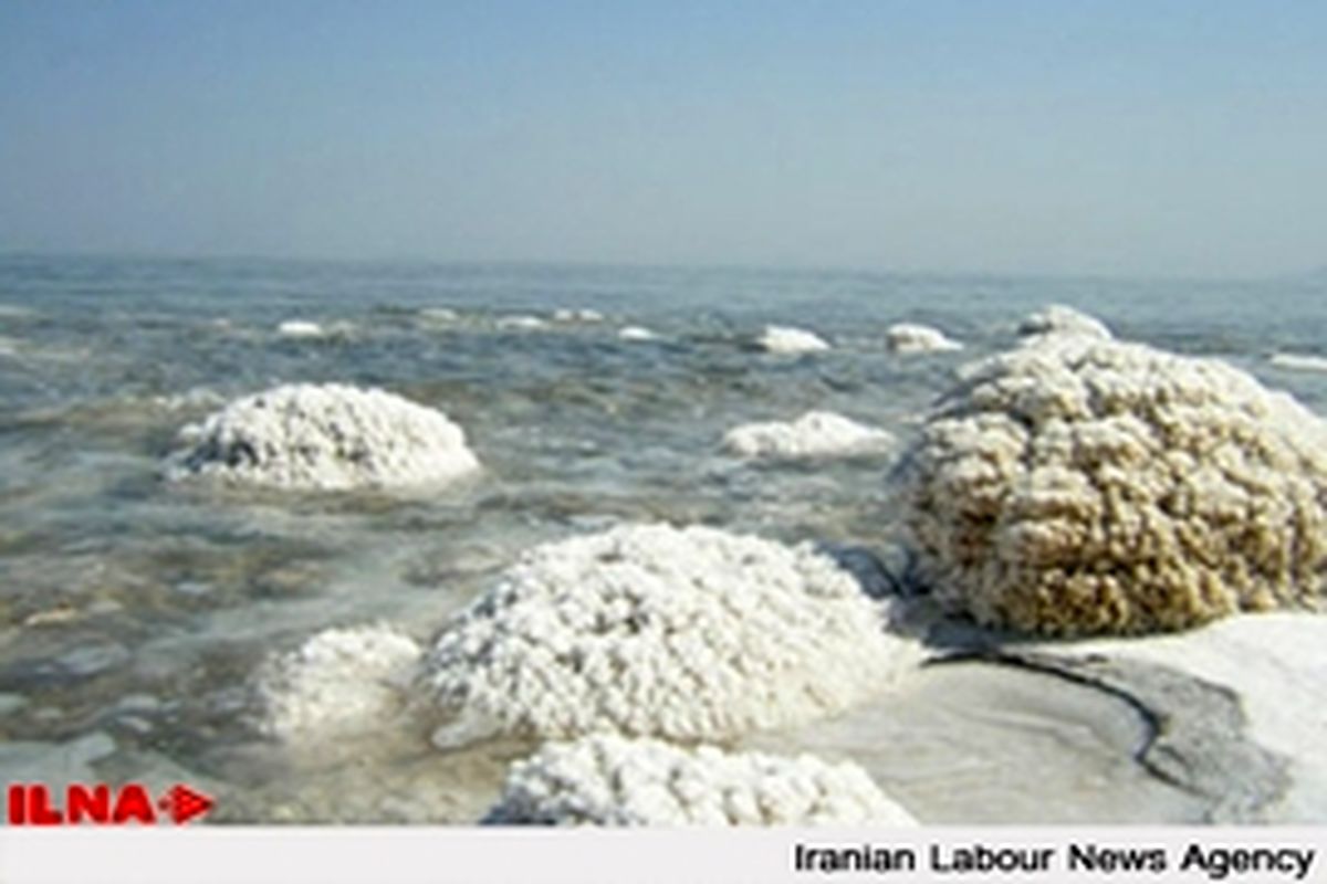 ارومیه دریاچه‌ای بود که نمکزار شد، زجرش ندهیم احیا نمی‌شود