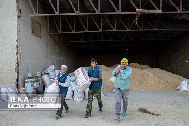 مزرعه دامپروری چپرقویمه، در مسیر محرومیت زدایی