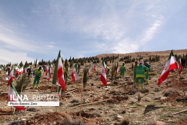 مراسم روز درختکاری