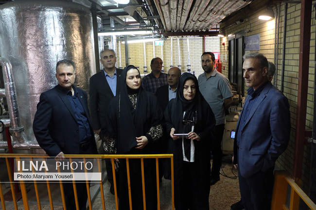 بازدید خبرنگاران از پنج پروژه مشارکتی بانک توسعه تعاون در آذربایجان 