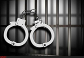 عوامل حیوان آزاری در بهشهر دستگیر شدند