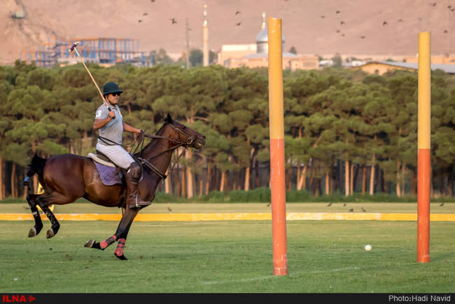 مسابقات چوگان جام قهرمانی کشور ۱۳۹۵: کانون البرز-نوروزآباد
