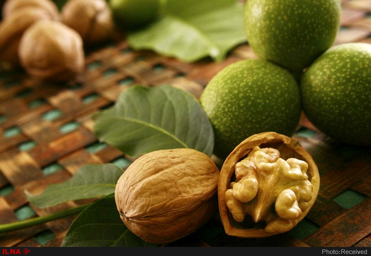 به این ۹ دلیل از خوردن گردو غافل نشوید 