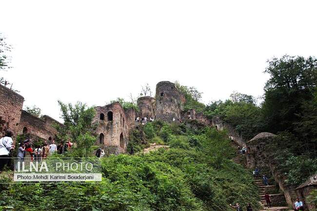 IMG_1950 copy