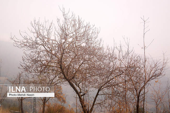 مه گرفتگی در تهران