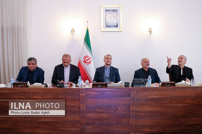 دیدار وزیر خارجه با اعضای کمیسیون امنیت ملی و سیاست خارجی مجلس شورای 