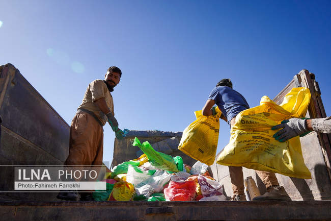 اشتغالزایی در مزارع کشاورزی سیب زمینی فیروزکوه