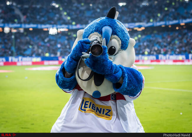 Hamburg-Hertha-57