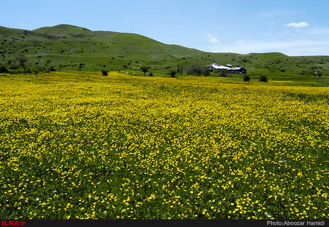 طبیعت بهاری دیلمان استان گیلان