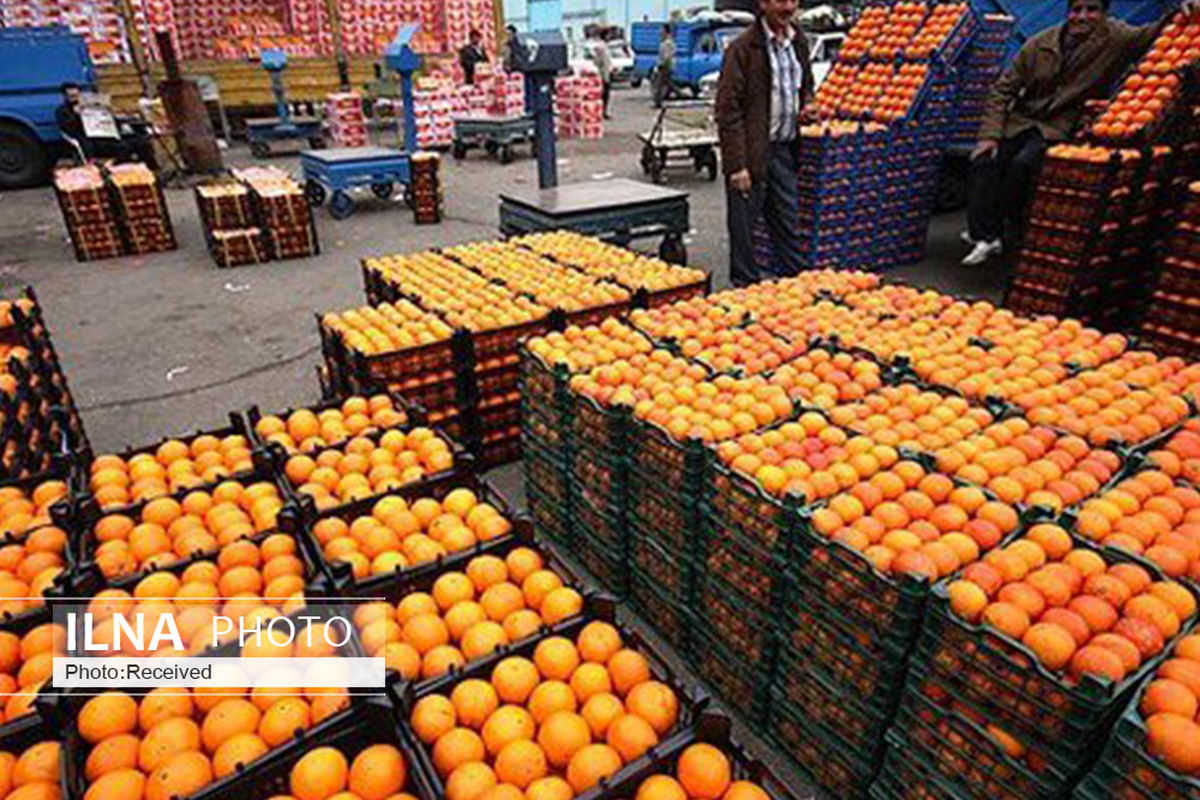 میوه شب عید با قیمت مصوب از فردا در قزوین توزیع می شود