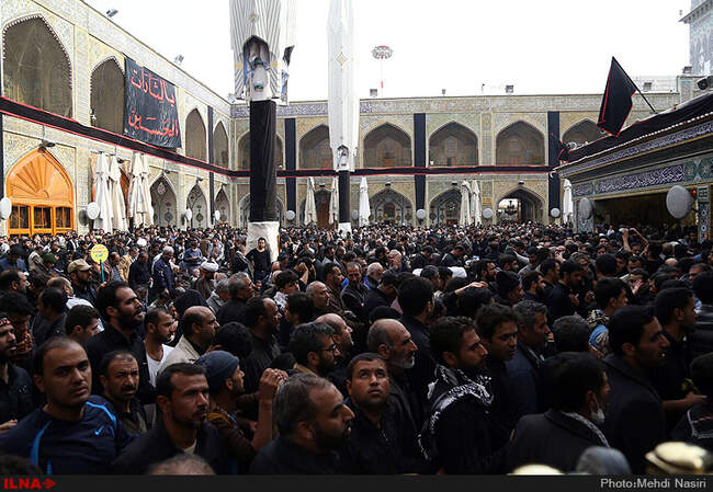 زائران اربعین حسینی در نجف اشرف/4