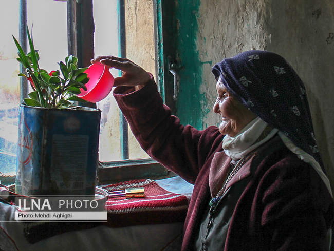 زنهای سرزمین من 