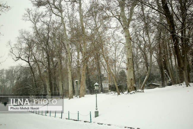 مجموعه فرهنگی-تاریخی نیاوران در یک روز برفی