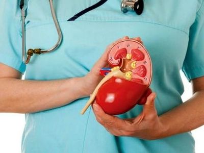 یکی از شایع‌ترین درگیری ها کلیه و فشار خون است + فیلم
