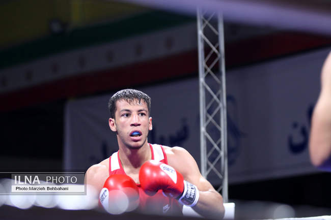 بیستمین دوره مسابقات قهرمانی بوکس کشور 