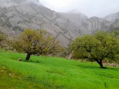 تیشه صنعت و معدن بر پیکر منابع طبیعی شمال خوزستان/ دره برفی تازه‌ترین قربانی کوه خواری در دزپارت