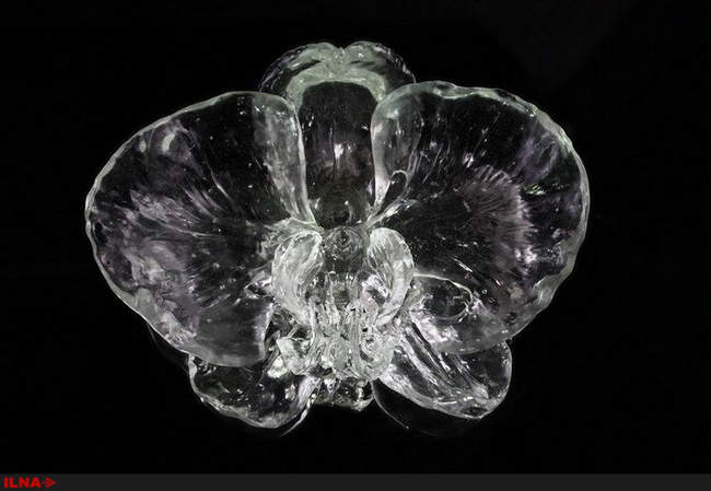 نمایشگاهی ازشکوفه های شیشه ای هنر معاصر چینی در مرکز فرهنگی چین در بر