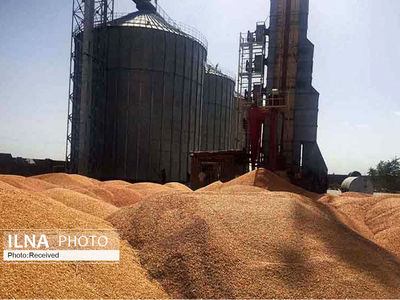 درخواست تامین ۲۴ هزار میلیارد تومان تسهیلات برای اجرای کشت قراردادی