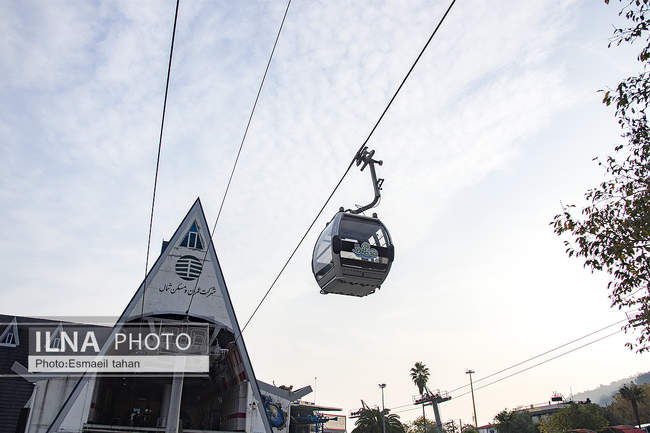 چشم انداز جنگل و دریا در قاب طبیعت